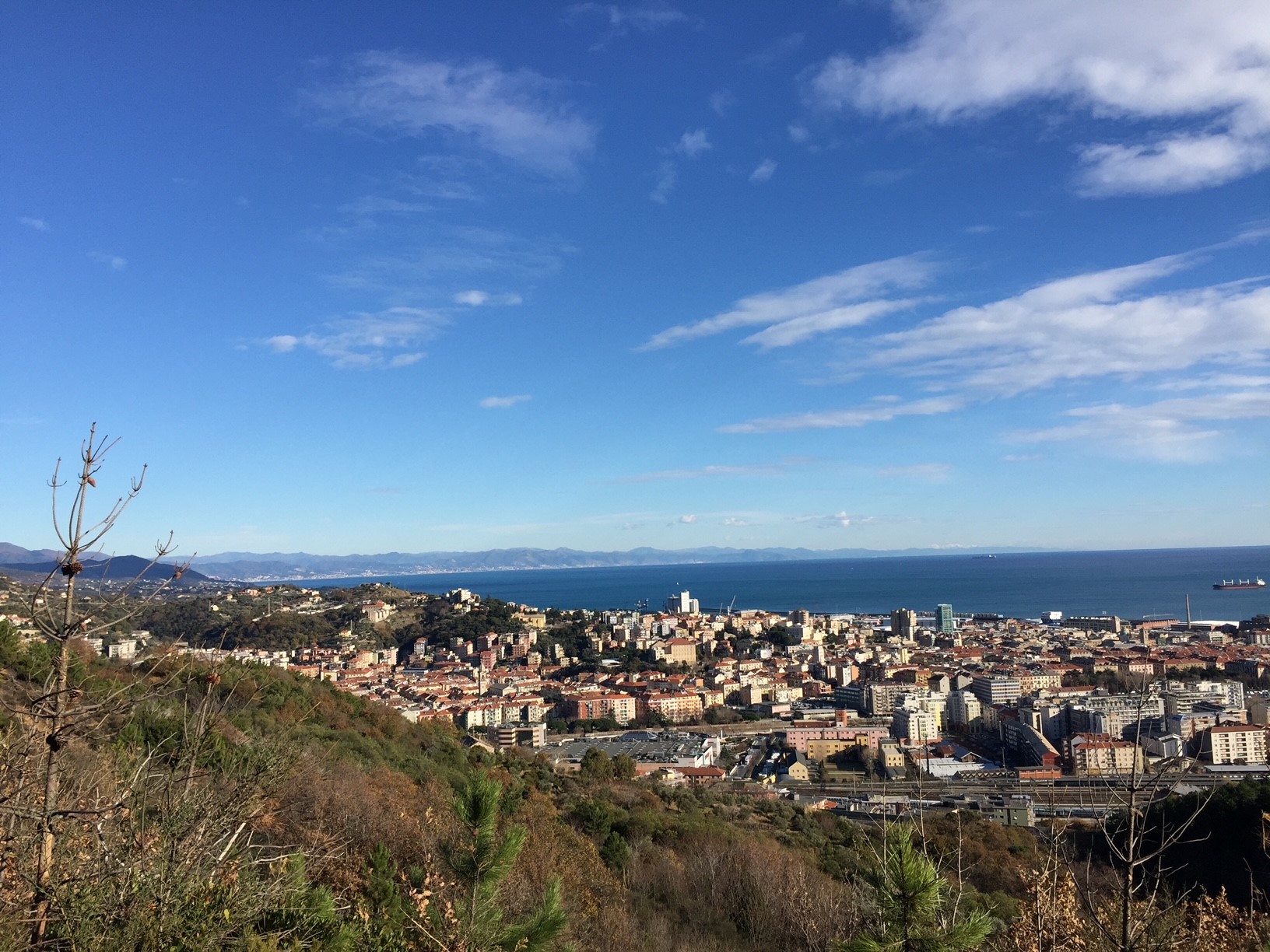 Foto vista Savona